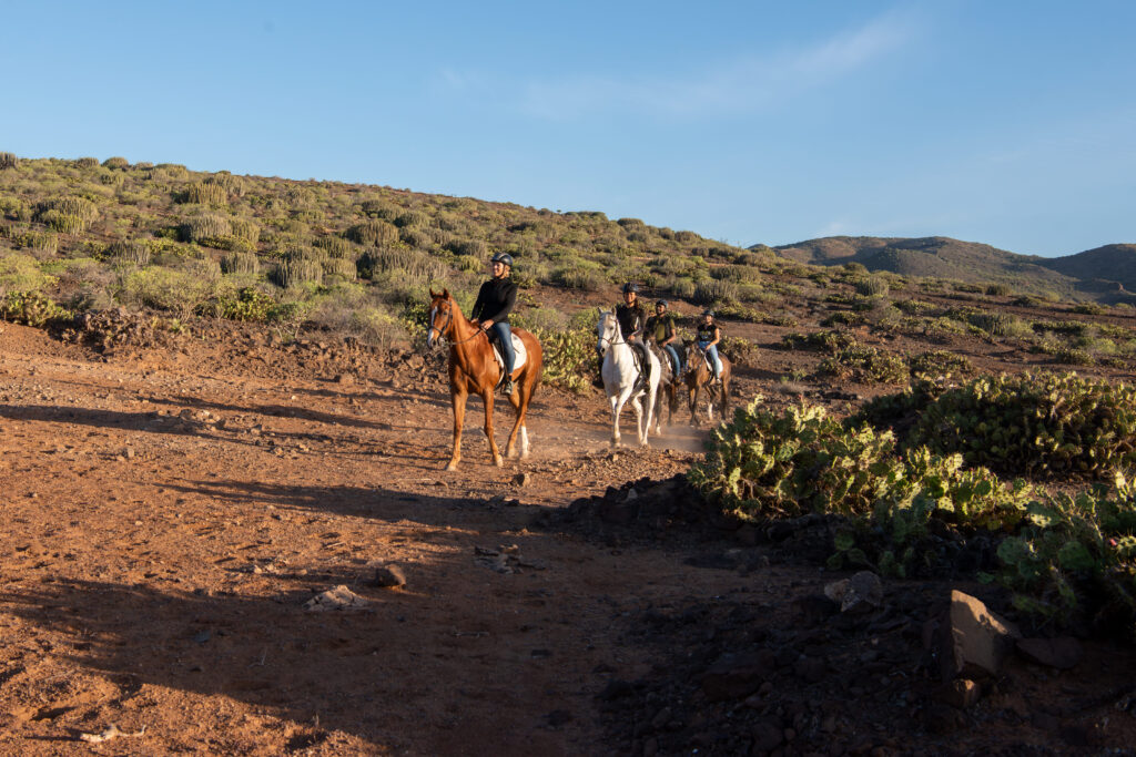 Paardrijden op Gran Canaria