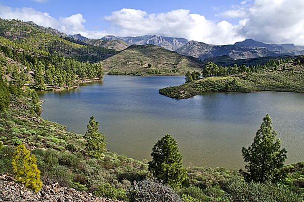 Stuwmeren, Presa de las Niñas