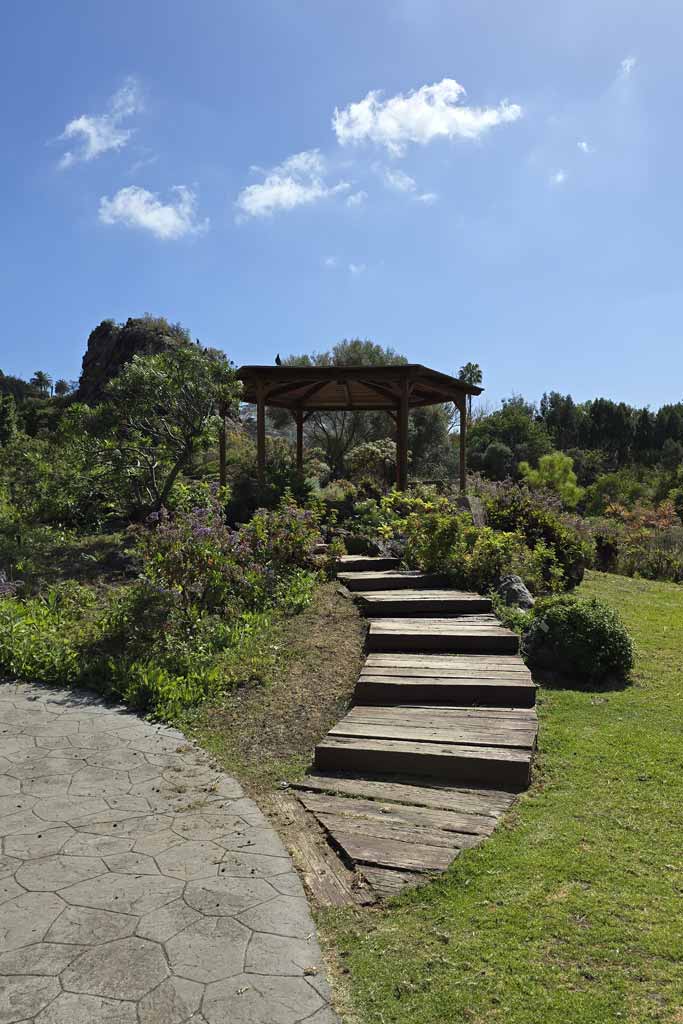 Jardín Botánico Canario Viera y Clavijo