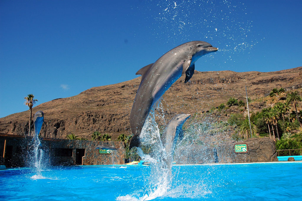 Palmitos Park, Maspalomas